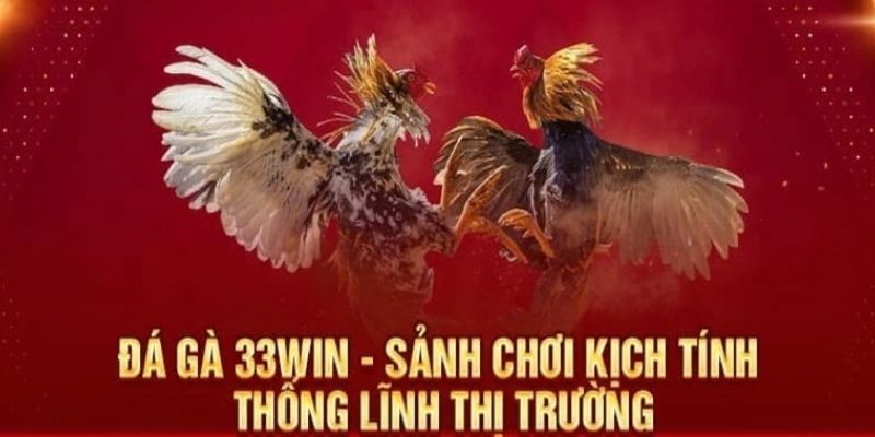 Thông tin sơ lược giới thiệu về sảnh đá gà trực tiếp